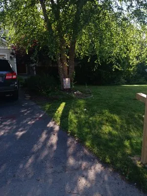 Green Light Lawn Care Logo