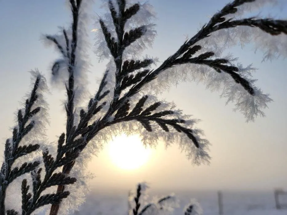 Professional yard cleanup service for residential properties across West Lafayette, IN - Green Light Lawn Care