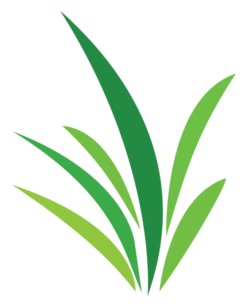 Professional residential landscaping experts serving Spokane, WA - Green Lightning Eco Lawn Care