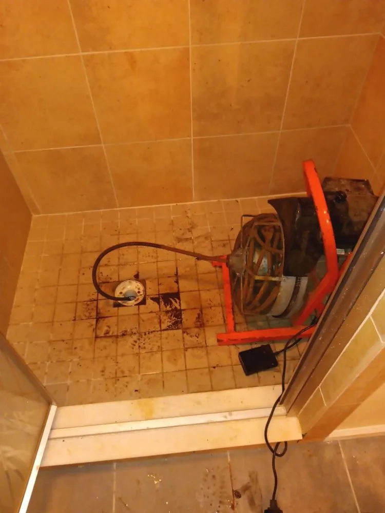 Local landscaping services experts serving Syracuse, NY - Green Lightning Landscaping & Renovation