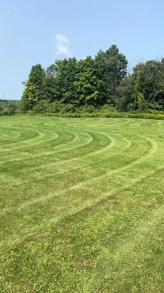 Trusted residential landscaping experts serving Elbridge, NY - Green Line