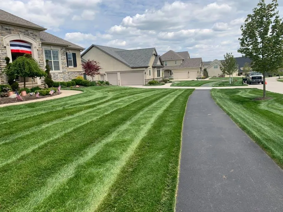 Local yard cleanup service in Columbus, OH - Green Line Landscape