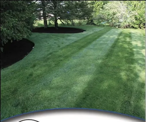 Local yard maintenance in Stanley, KS by Green Line Lawn and Landscape