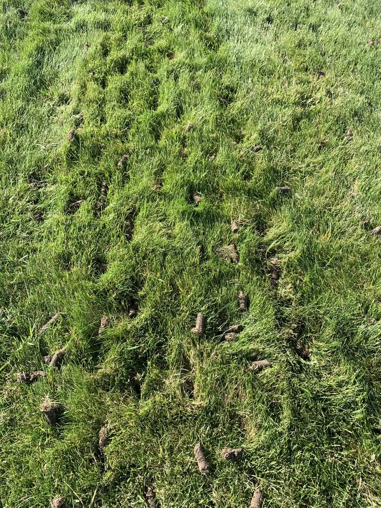 Expert outdoor landscaping for residential properties in Bismarck, ND by Green Line Lawn Care