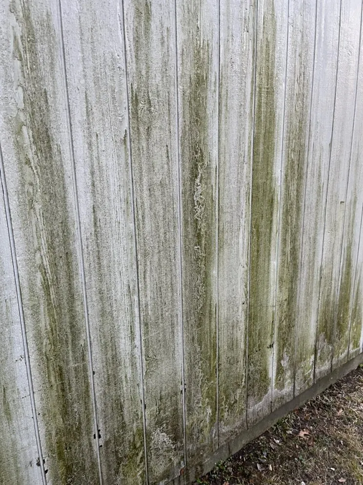 Trusted landscape installation in Whitesboro, TX - Green Line Lawncare & Landscape