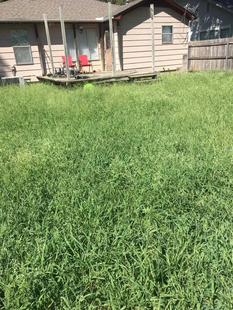 Affordable residential landscaping in Whitesboro, TX - Green Line Lawncare & Landscape