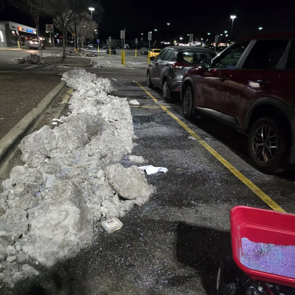 Custom garden landscaping in Durham, NC - Green Line Mower