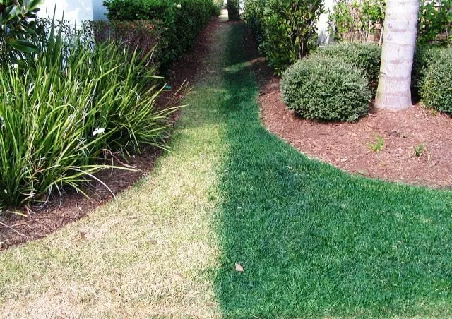 Trusted lawn mowing service for residential properties across Santa Paula, CA - Green Lion Landscaping