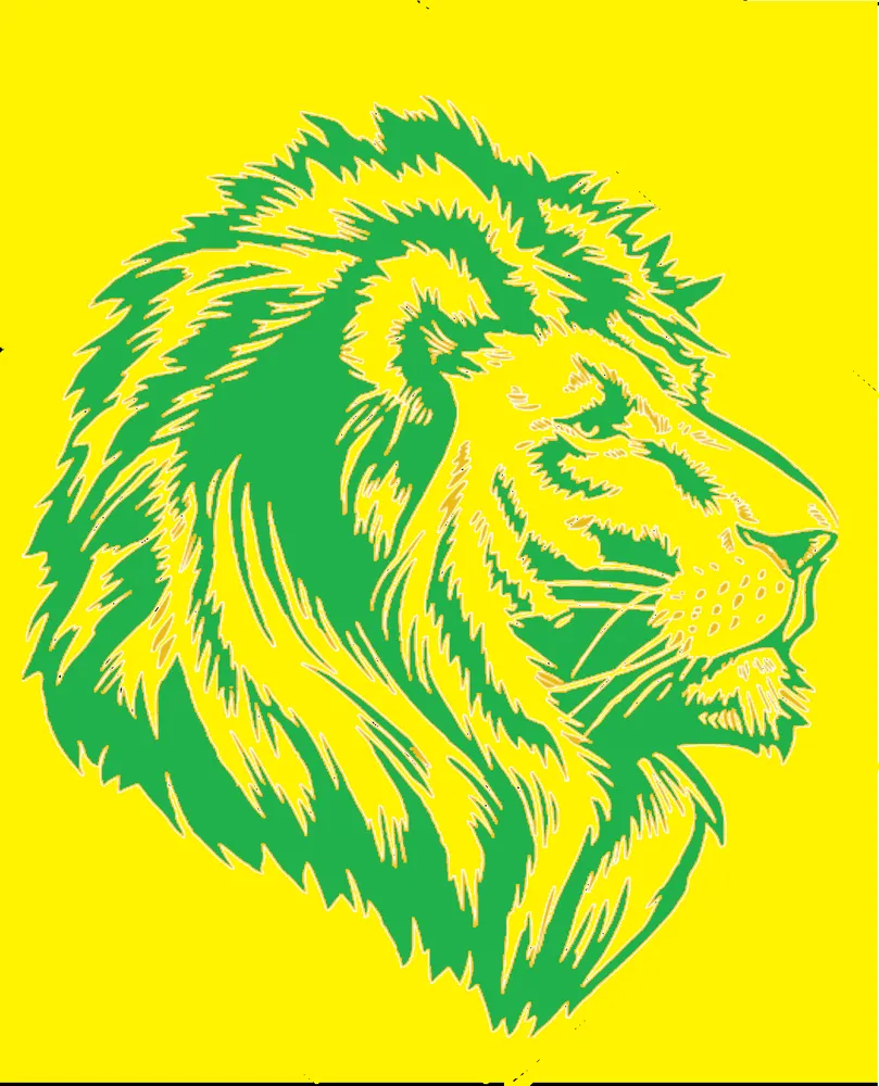 Expert garden landscaping experts serving Santa Paula, CA - Green Lion Landscaping