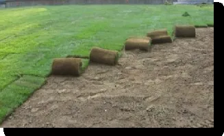 Trusted landscaping services experts serving Santa Paula, CA - Green Lion Landscaping