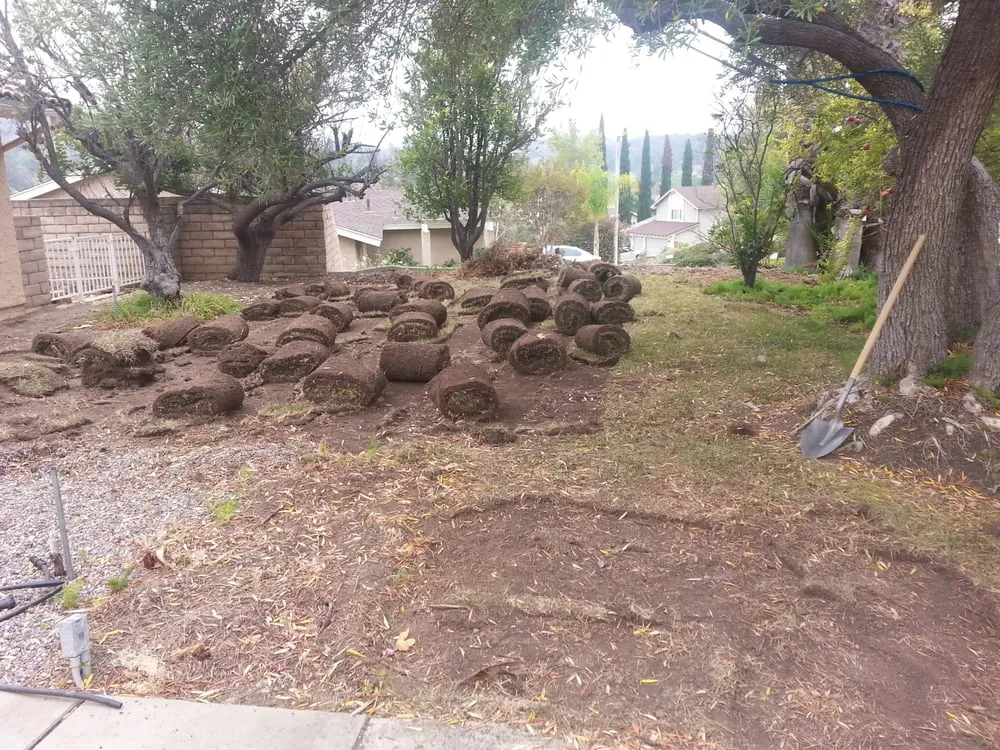 Local outdoor landscaping near you across Santa Paula, CA - Green Lion Landscaping