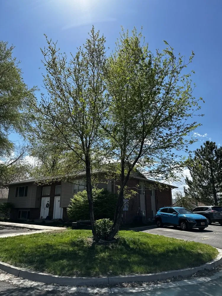 Professional garden landscaping in Vineyard, UT - Green Lion Landscaping