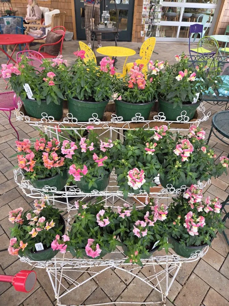 Reliable yard maintenance for homes in Cincinnati, OH by Green Living by Design