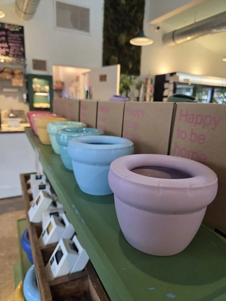 Expert landscaping services experts serving Cincinnati, OH - Green Living by Design