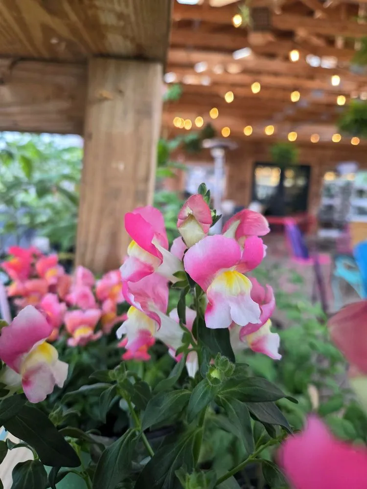 Custom garden landscaping experts serving Cincinnati, OH - Green Living by Design