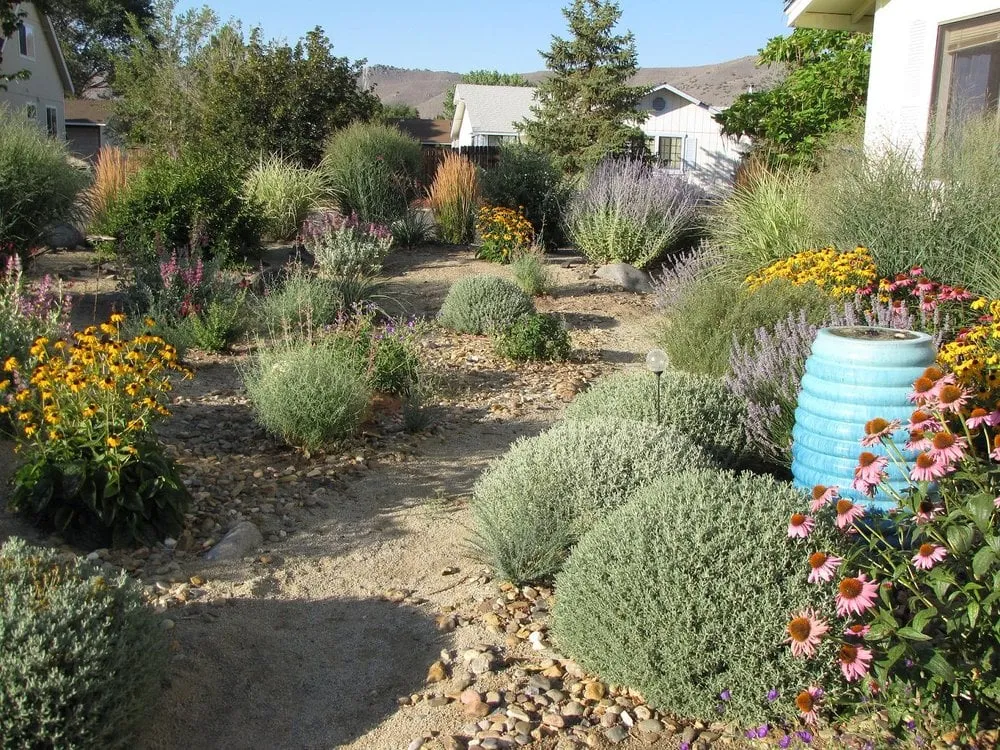 Top-rated landscape installation in Carson City, NV - Green Lizard Landscape