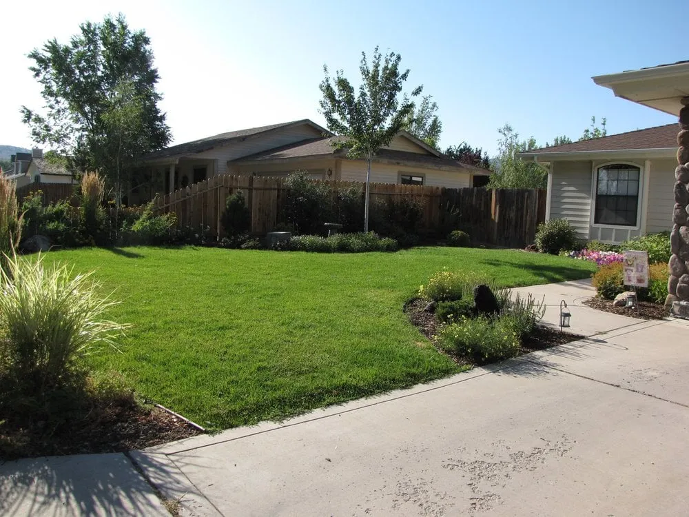 Trusted landscape installation for residential properties in Carson City, NV by Green Lizard Landscape