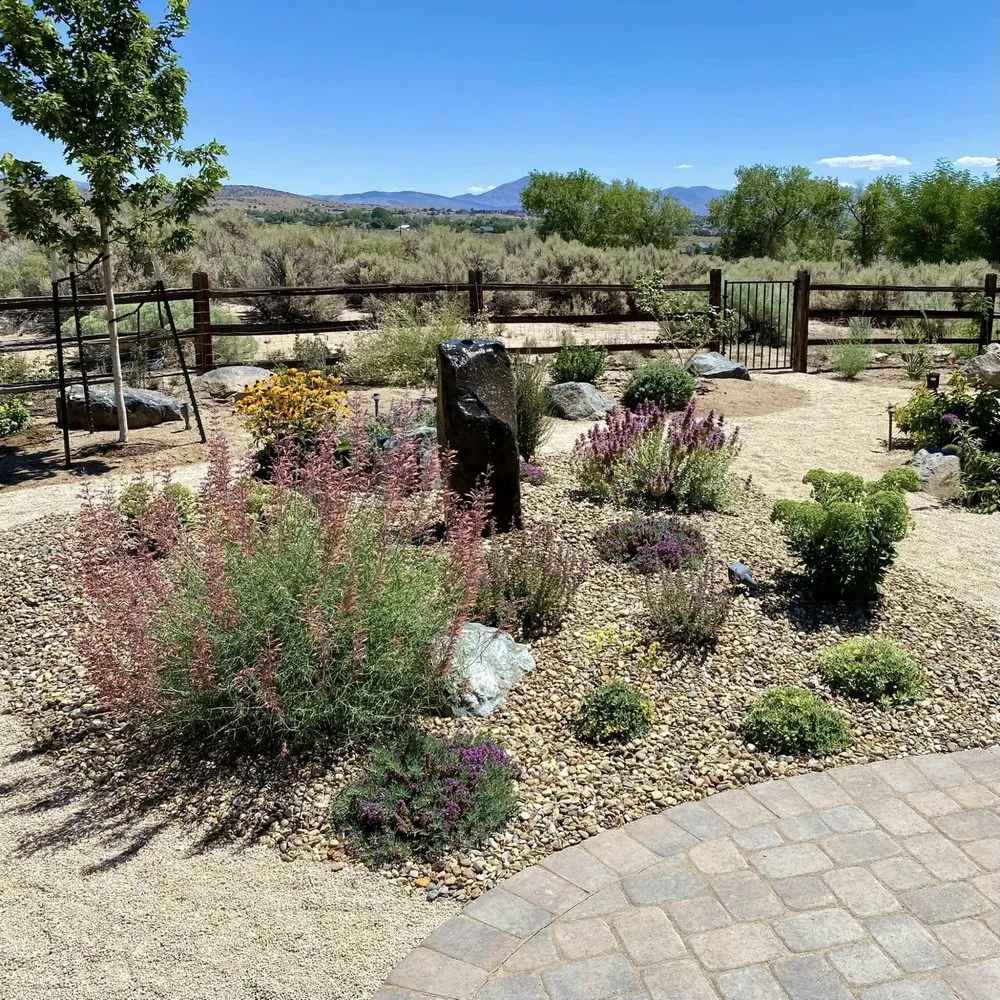 Professional yard cleanup service experts serving Carson City, NV - Green Lizard Landscape