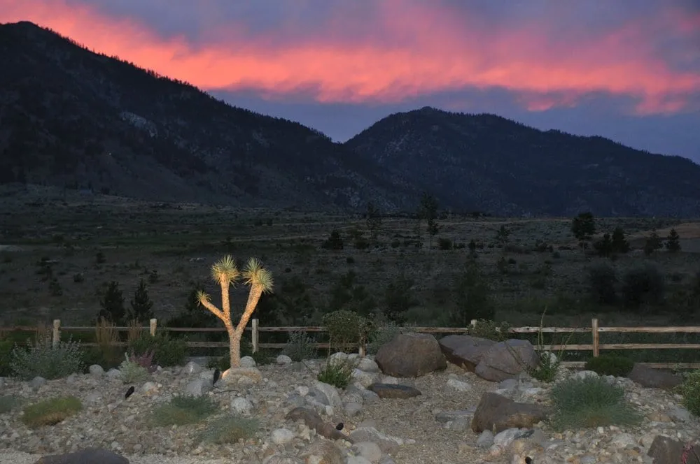 Reliable yard maintenance for homes across Carson City, NV - Green Lizard Landscape