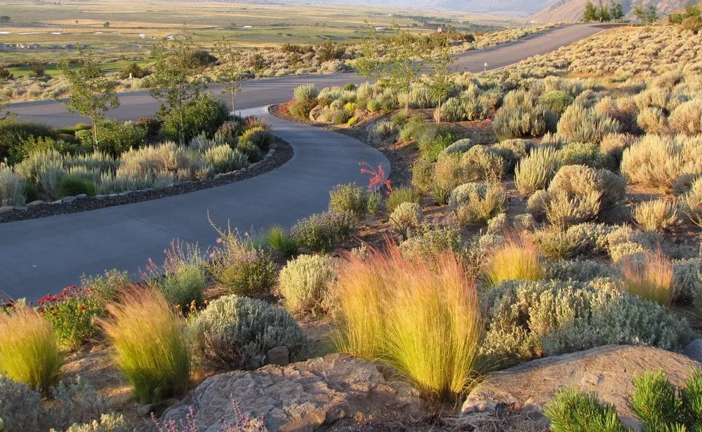 Expert garden landscaping experts serving Carson City, NV - Green Lizard Landscape