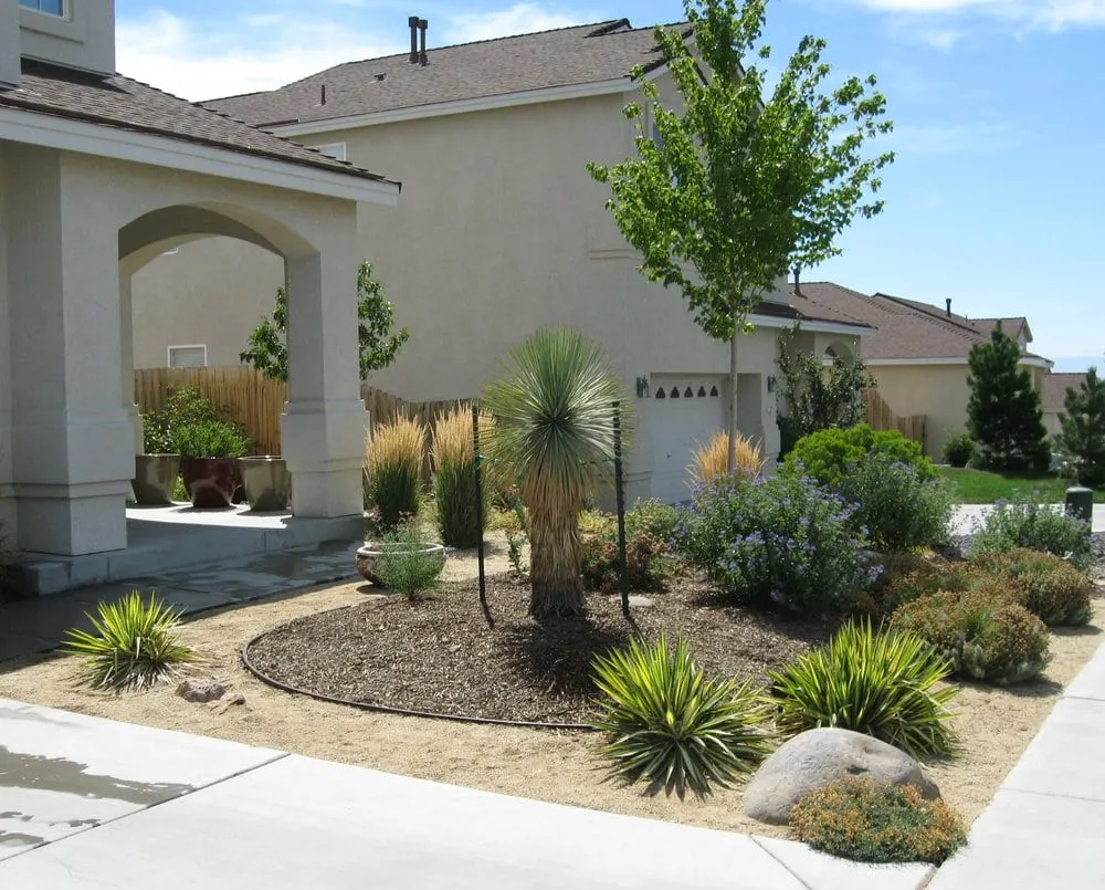 Expert yard maintenance experts serving Carson City, NV - Green Lizard Landscape