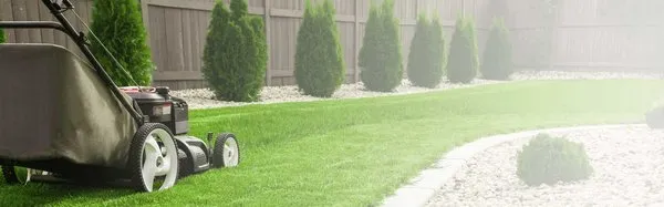 Green Lizard Lawn and Ground Care Logo