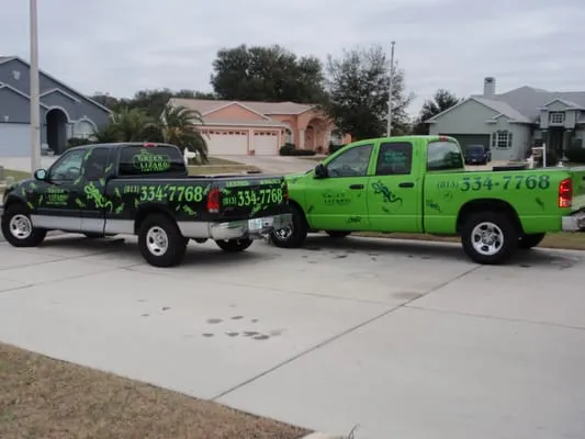 Green Lizard Lawn Care Logo