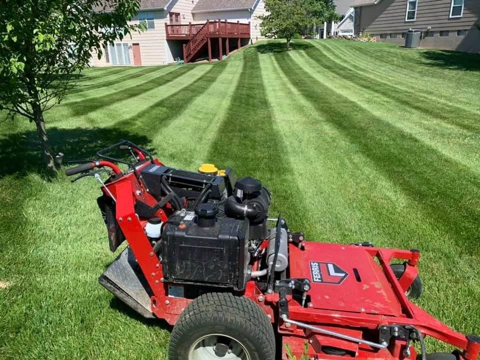 Reliable landscape installation in Ofallon, MO - Green Lizard