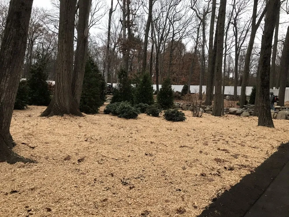 Local landscape design in Framingham, MA by Green Local Landscaping