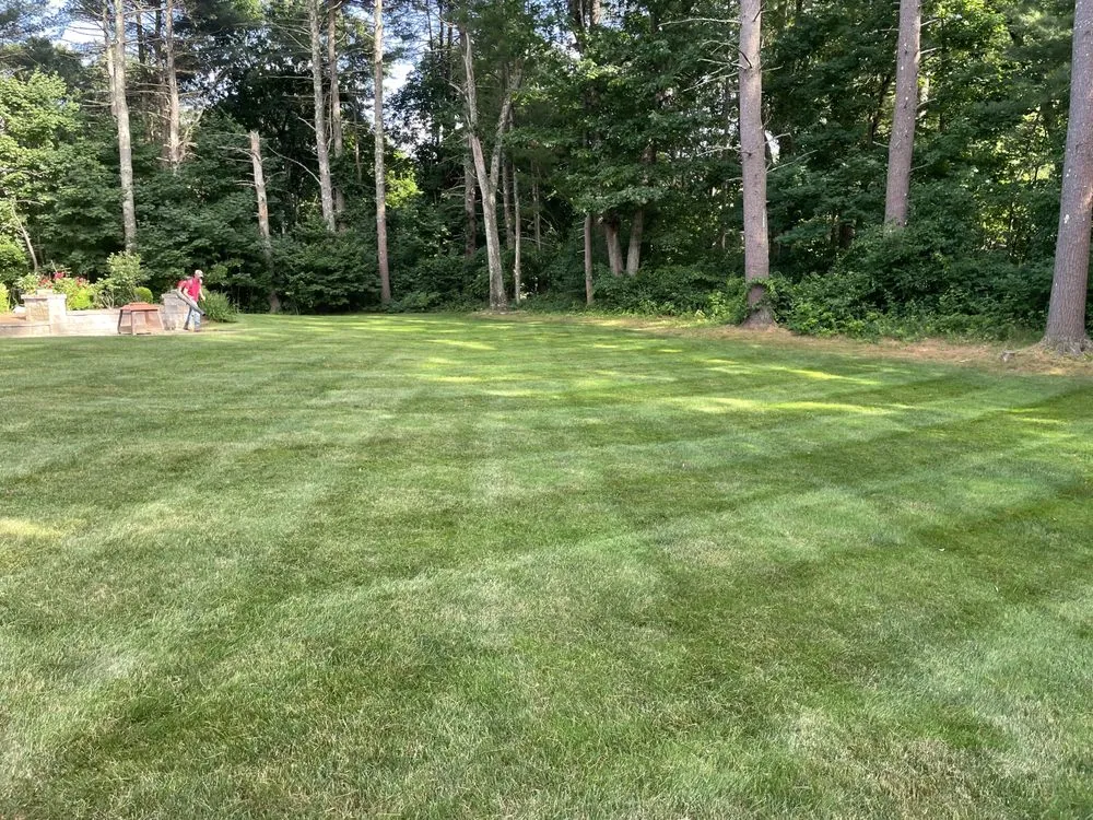 Affordable lawn mowing service in Framingham, MA by Green Local Landscaping