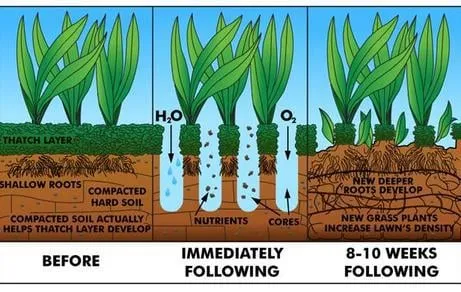 Professional lawn mowing service with custom design across Montrose, MN - Green Logic