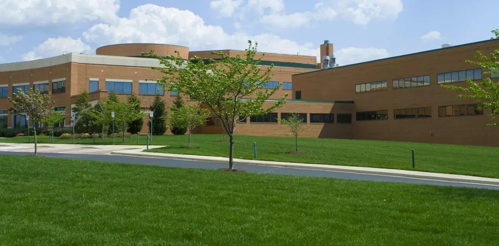 Expert yard cleanup service in Montrose, MN by Green Logic