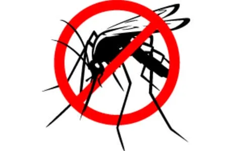 Trusted landscaping services experts serving Montrose, MN - Green Logic