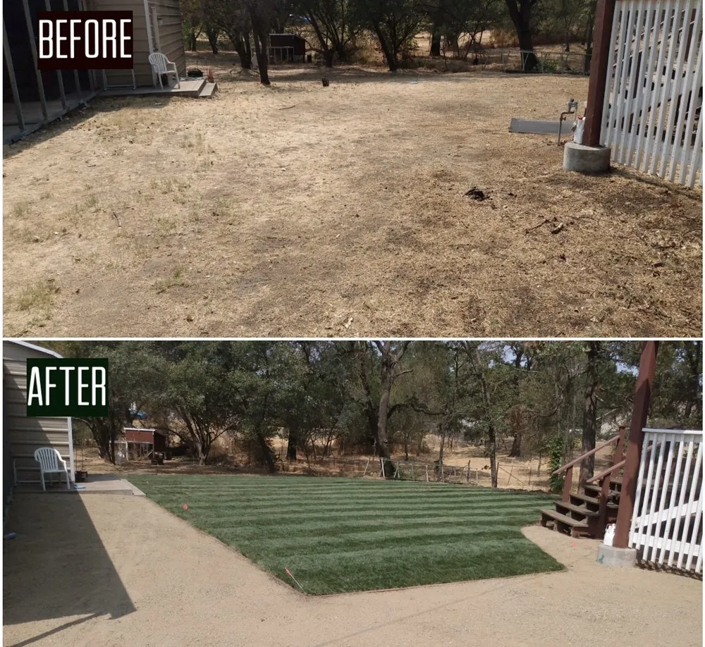 Affordable landscape design in Foothill Farms, CA by Green Look and Plus