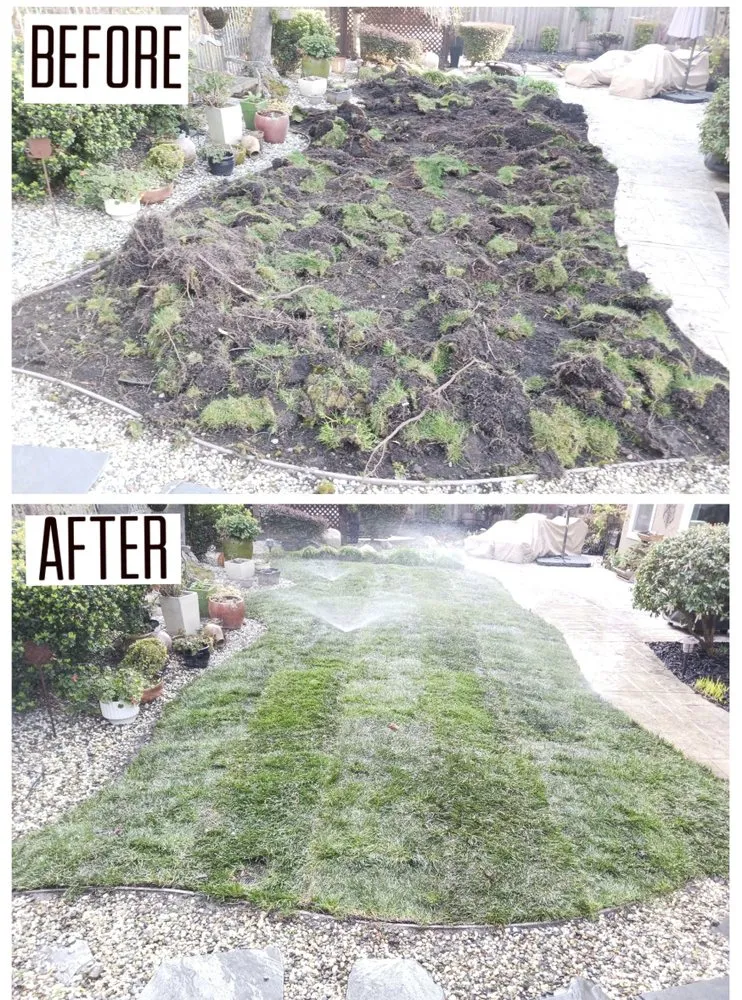 Professional landscaping services experts serving Foothill Farms, CA - Green Look and Plus