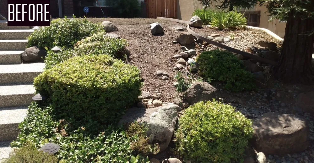 Reliable garden landscaping in Foothill Farms, CA - Green Look and Plus