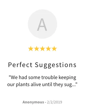 Custom landscape design experts serving Burke, VA - Green Luna