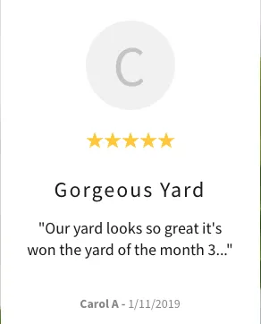 Affordable yard cleanup service experts serving Burke, VA - Green Luna