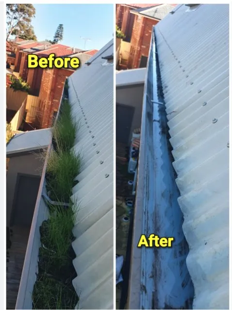 Expert landscape installation in Burke, VA by Green Luna