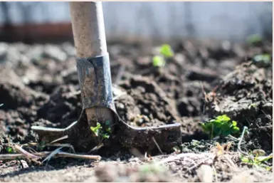 Trusted landscaping services for year-round maintenance in Burke, VA by Green Luna