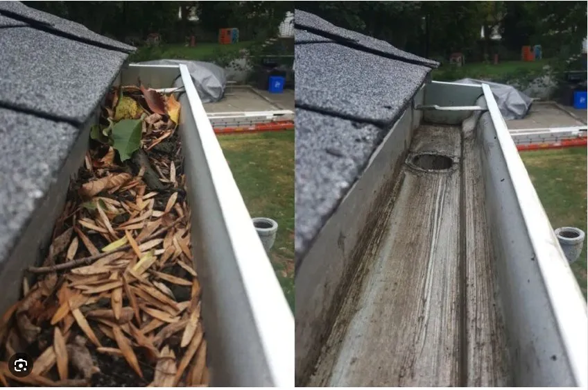 Affordable landscape design for residential properties in Burke, VA by Green Luna