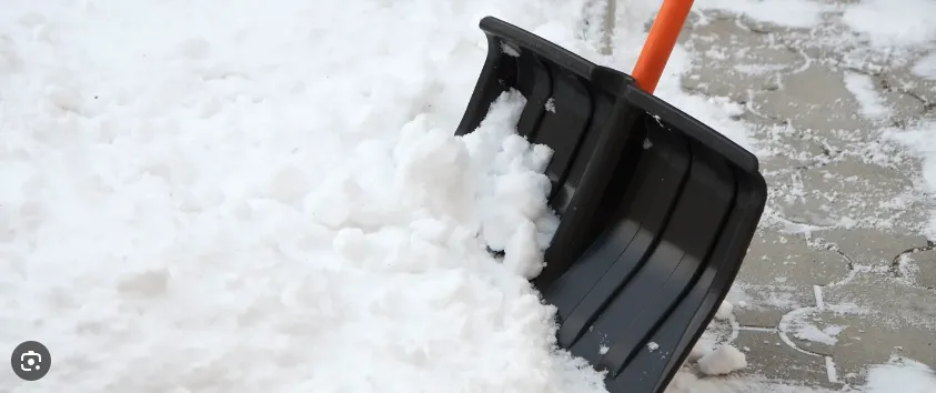 Local landscaping services in Burke, VA by Green Luna