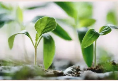 Top-rated landscaping services for homes across Burke, VA - Green Luna