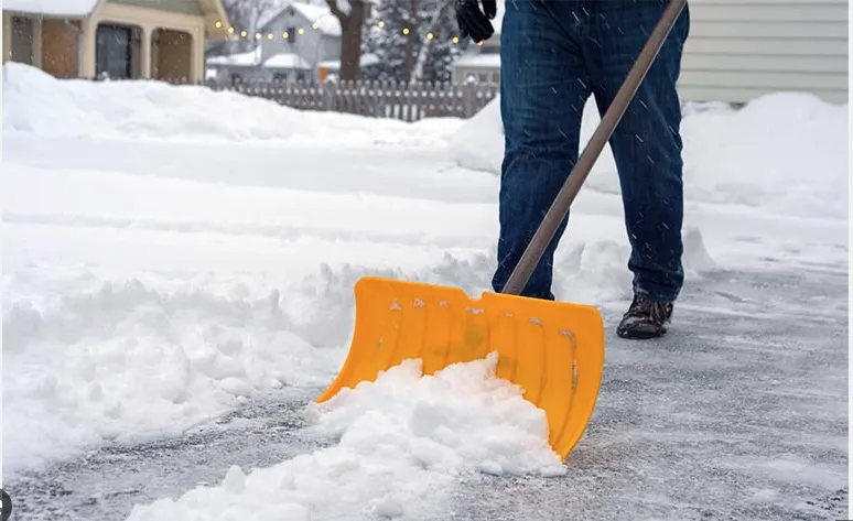 Expert landscape design in Burke, VA - Green Luna