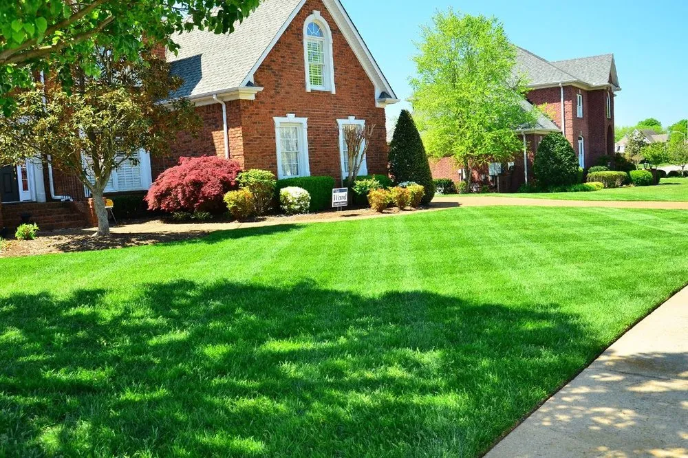 Affordable outdoor landscaping with custom design in Clinton Township, MI by Green Lyfe Lawn Care