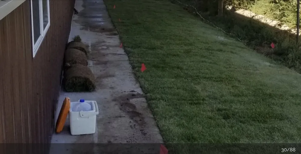 Reliable yard cleanup service for homes in Evans, CO by Green Machine