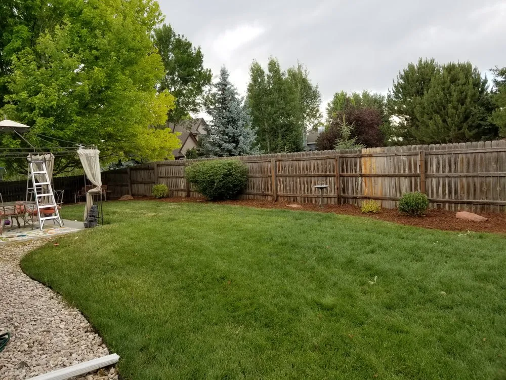 Custom lawn care service for year-round maintenance across Greeley, CO - Green Machine