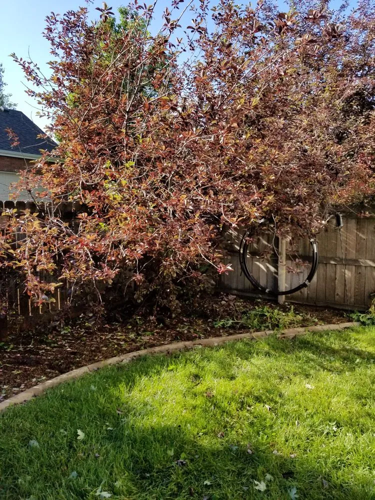 Professional landscape installation in Greeley, CO by Green Machine