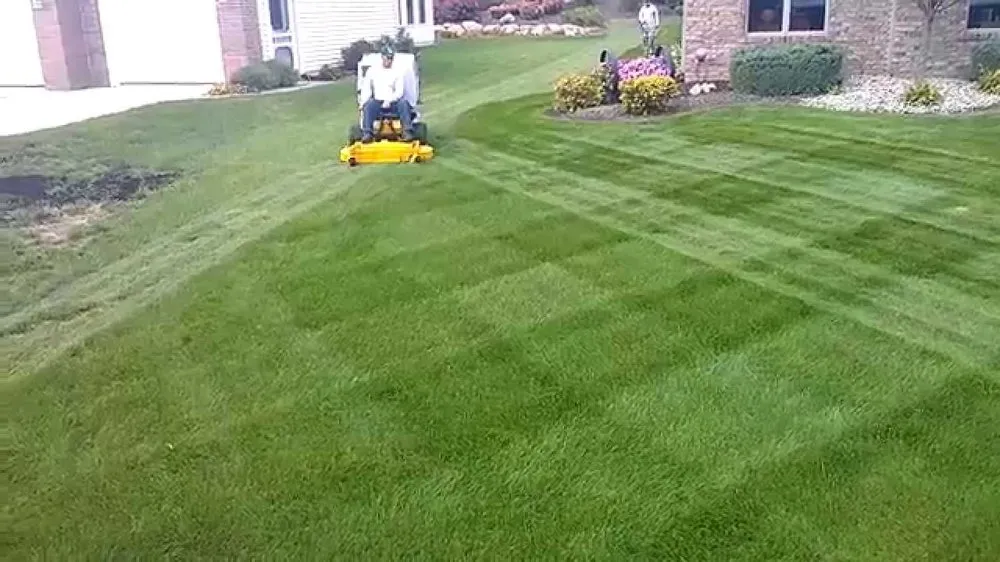 Professional lawn care service experts serving Greeley, CO - Green Machine
