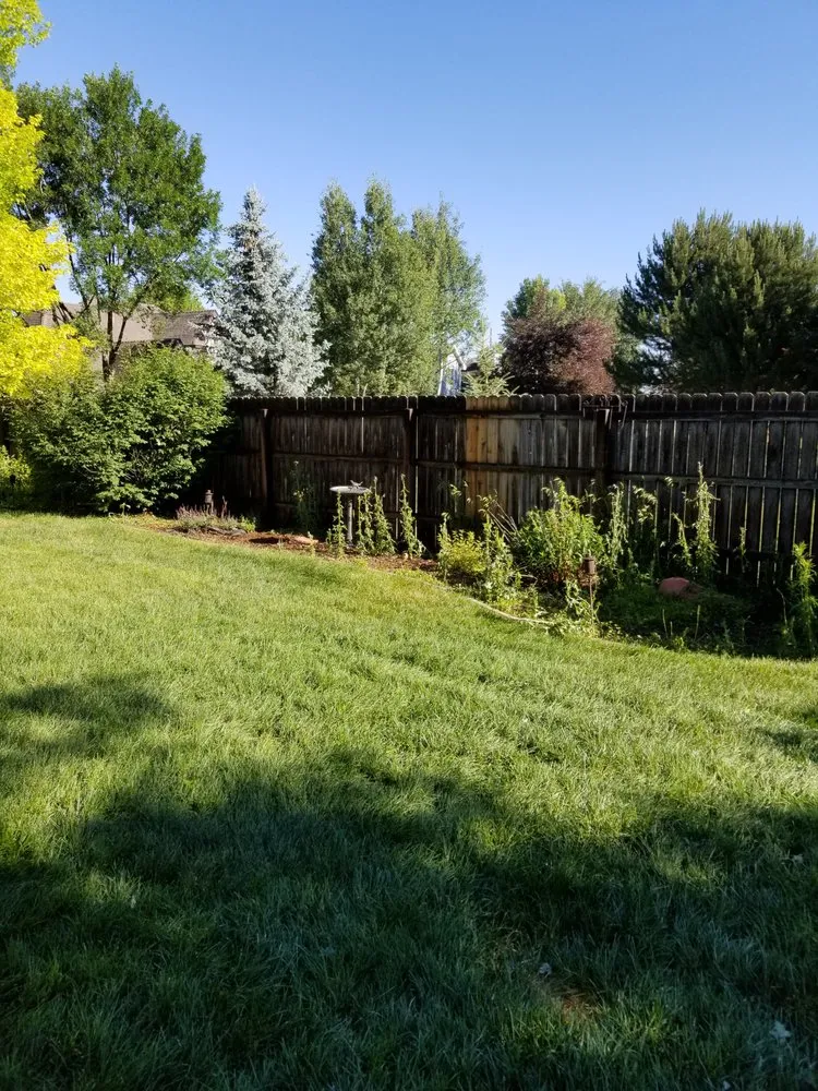 Top-rated landscape installation for year-round maintenance across Greeley, CO - Green Machine